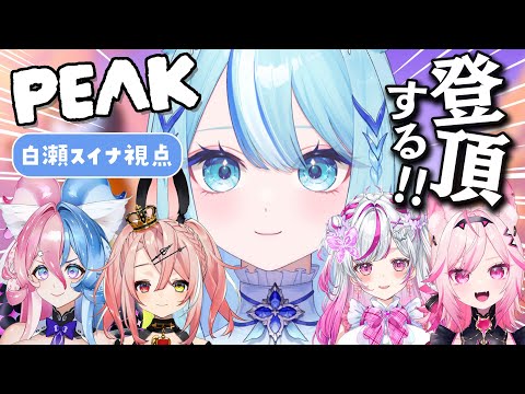【 #peak  】登頂めざして！トリステ登山部⛰【 #白瀬スイナ / #電脳無職旅団  】