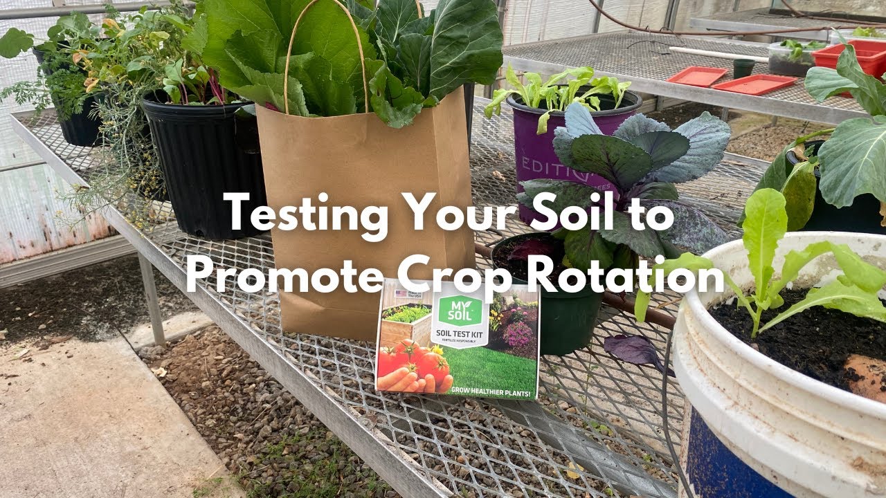 Why TEST Your Soil Rotate Crops Preventing Soil Malnutrition why-test-your-soil-rotate-crops-preventing-soil-malnutrition