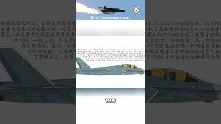 Twin Seat J-35 Fighter  #militaryaviation