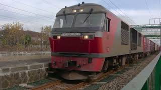 室蘭本線 萩野駅 DF200 貨物列車とキハ261系特急北斗の通過 フルロング版