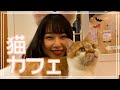 猫カフェに行ってきたよ！！