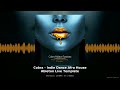 Cobra Indie Dance Afro House Ableton Live Template