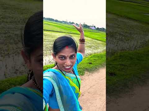 झारखंड में सुखाड़ || सूखे की चपेट में झारखंड 🥺😥 #jharkhand #jharkhandnews #mamtasharma #viral