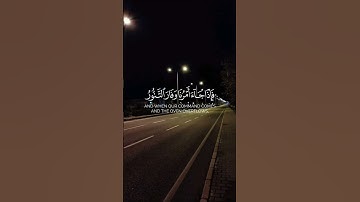 سورة المؤمنون الآية ( 27 )                   Surah Al-Mu'minun, verse (27)