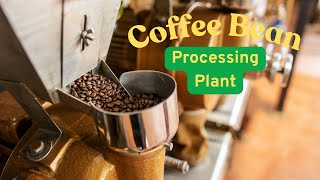 How Your Coffee Is Made Inside A Bean Processing Plant