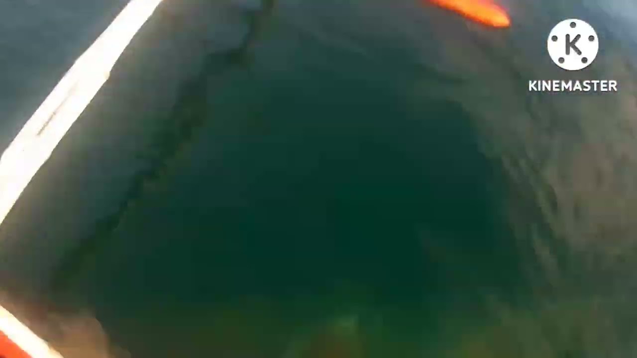 shukran sa blessing ♥️ | Pong's TV                                    