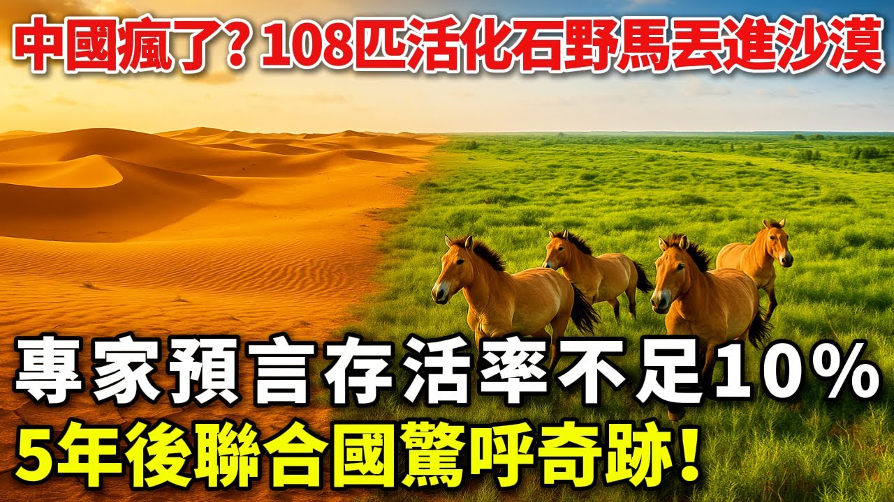 中國瘋了？108匹活化石野馬丟進沙漠，5年後聯合國驚呼奇跡！
