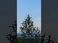 mountain hike & view