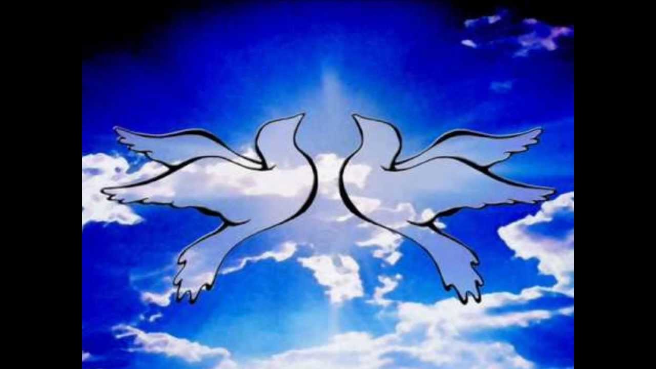 Dona Nobis Pacem (Vocal Cover)