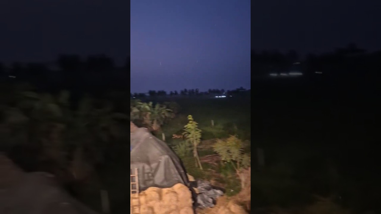 Operation success Tiger spotted at Kurmapuram East godavari | Tiger alert in  Kurmapuram Rajahmundry