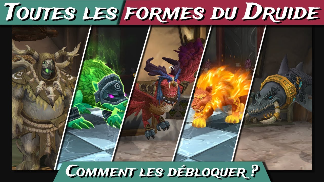 ⭐ 𝗚𝗨𝗜𝗗𝗘 𝗨𝗟𝗧𝗜𝗠𝗘 des 𝗙𝗢𝗥𝗠𝗘𝗦 𝗗𝗨 𝗗𝗥𝗨𝗜𝗗𝗘 │ Tuto WoW - YouTube