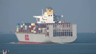 Container Shipoocl Americacrossing The Ma Wan Channel In Hk 20260108C0006