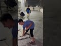 Roof cricket 2 / Saturday night