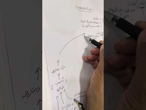 دورة النيتروجين في الطبيعة