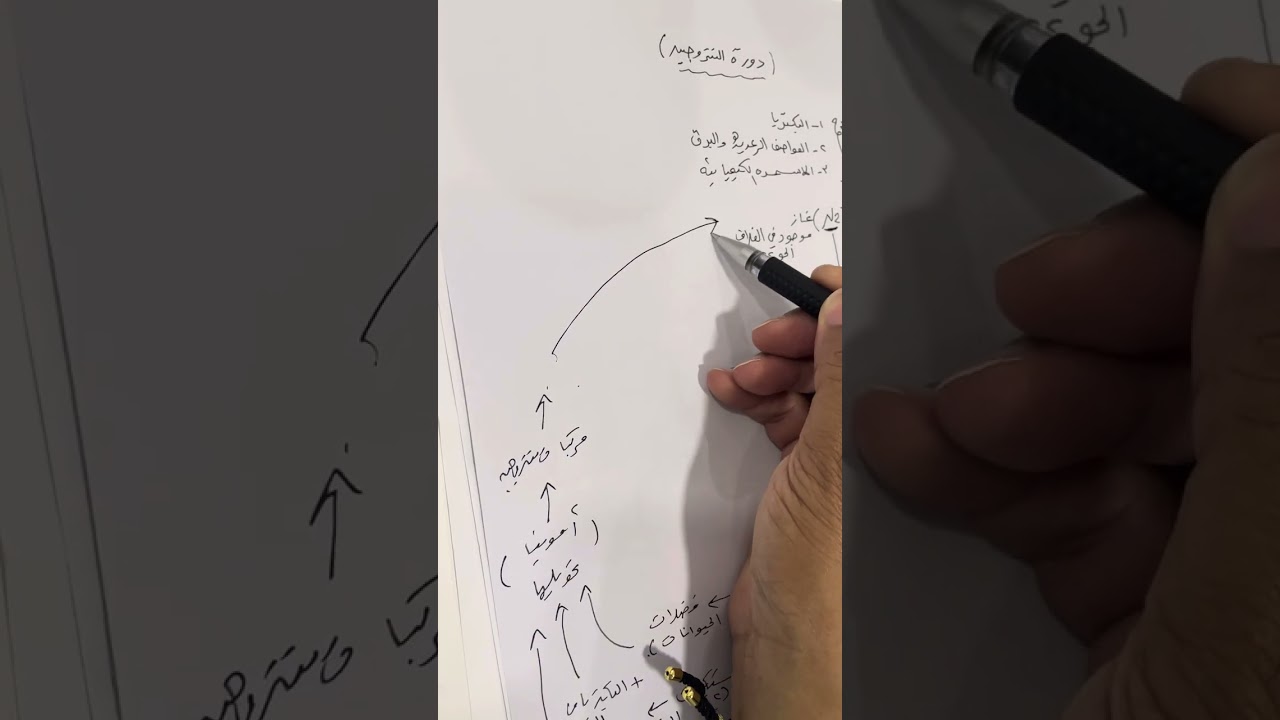 دورة النيتروجين في الطبيعة