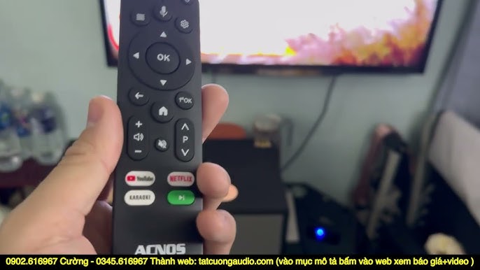 Hinet450 tích hợp đầu karaoke vô loa + tích hợp tìm kiếm giọng nói ...