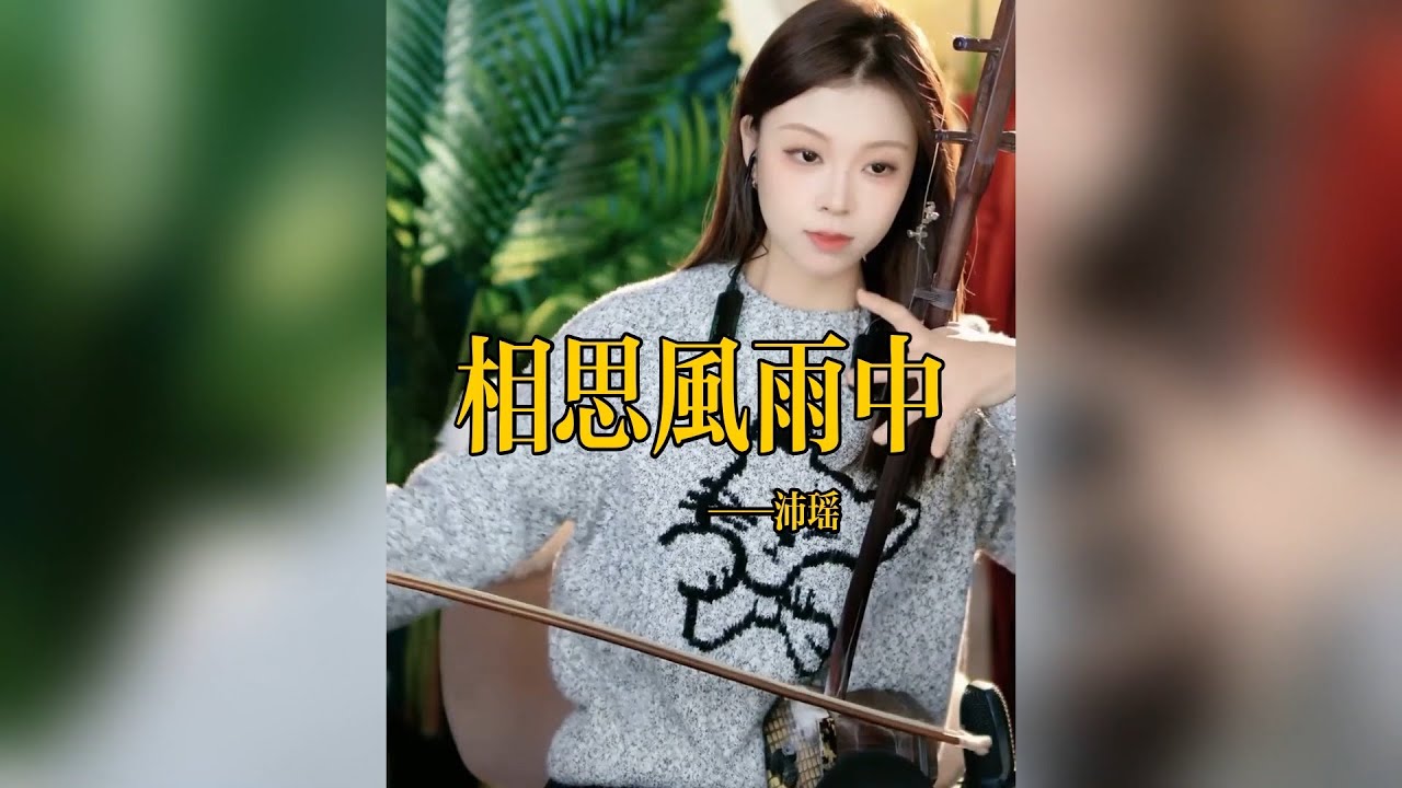 【二胡沛瑤】《相思风雨中》 二胡沛瑶 Erhu LIVE Tangyin 唐音乐队 Chinese Music 國樂 乐器演奏 中國樂器 Chinese music