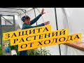 Как защитить растения при похолодании и заморозках.