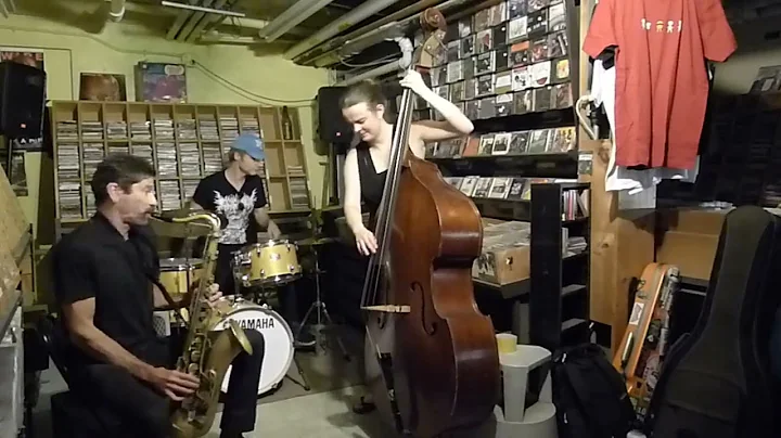 Stephen Gauci/Lisa Hoppe/Kevin Shea, Live at the D...