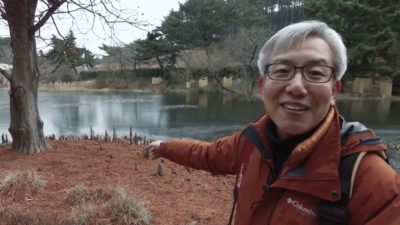 천리포 수목원 - 호랑가시 나무 | 고규홍의 나무가 말하였네 (ep02) | RNA