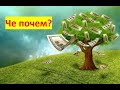 Че почем?  Мужское движение.