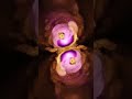 Elegant, Atmospheric, Animated Paisley Twist Design ~ 042626.4 #DreamTrackAI #pink #golden #design