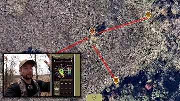 Deer Scouting in Cattail Marsh