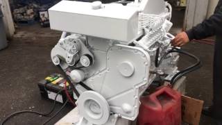 Cummins 6CTA 8.3L 255hp@1800rpm Marine Engine