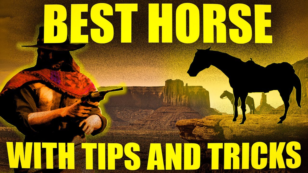 Red Dead Online BEST Horse Guide, Best Saddle, Fastest Bonding, Best