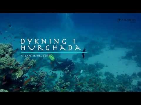 Video: Dykning i Hurghada