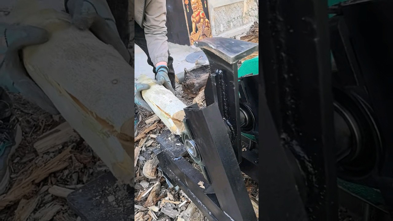 Fresh wood also splits easily 