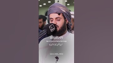 Raad Al kurdi Whatsapp status with Urdu English translation|رعد الكردي حالات واتس اب| سورة النور