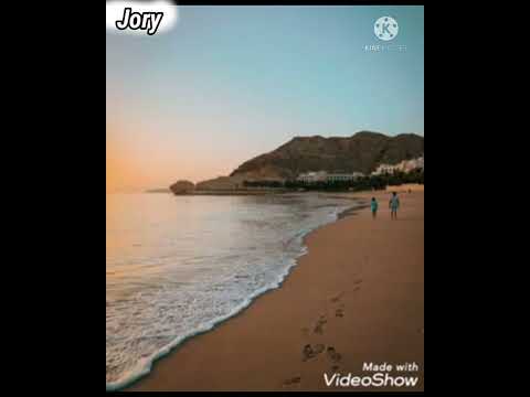 عامل ايه في حياتك طمني عليك عامر منيب حالات واتس واستوري