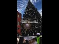 Toronto’s Winter Wonderland is here! ❄️🎄 The Distillery District is all decked out.