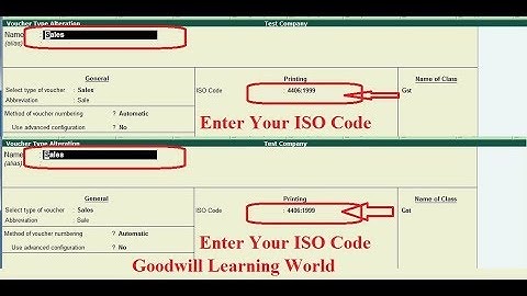Tally TDL for ISO Code Print in Invoice and Receipt Voucher   Free Tally Add on Download