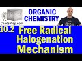 Free Radical Halogenation Quiz