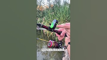 Chuông báo cá điện tử thế hệ mới #xuhuong #cauca #fishing