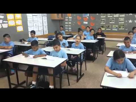 أنشودة النشاط