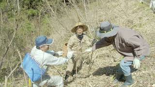 一般社団法人福のもと 山菜をとりに山へ Taking the wild plants from the mountain