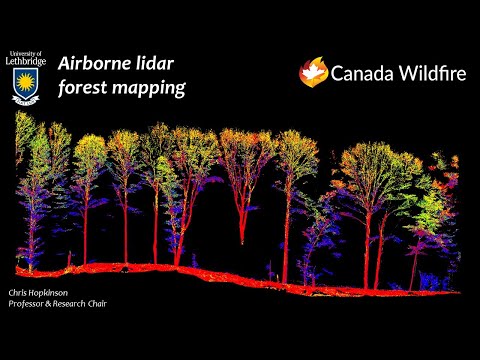 A Brief Introduction To Lidar Forest Mapping