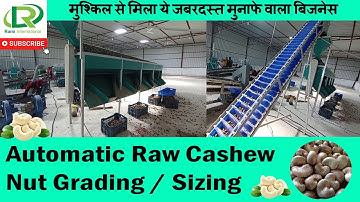 Automatic Raw Cashew Grading Machine / Raw Cashew Sizing Machine / Cashew Processing Machine
