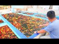 Stocking pond with 2,000 FISH