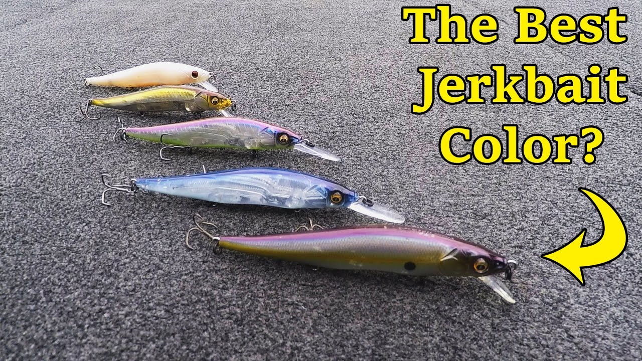 What's your go to jerk bait color?!?! #bass #bassfishing #jerkbait