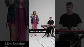 Begonia - Marigold (Live Session)