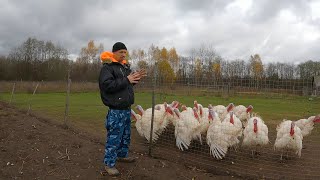 Заканчиваем два важных дела! Насыщенные деревенские деньки!