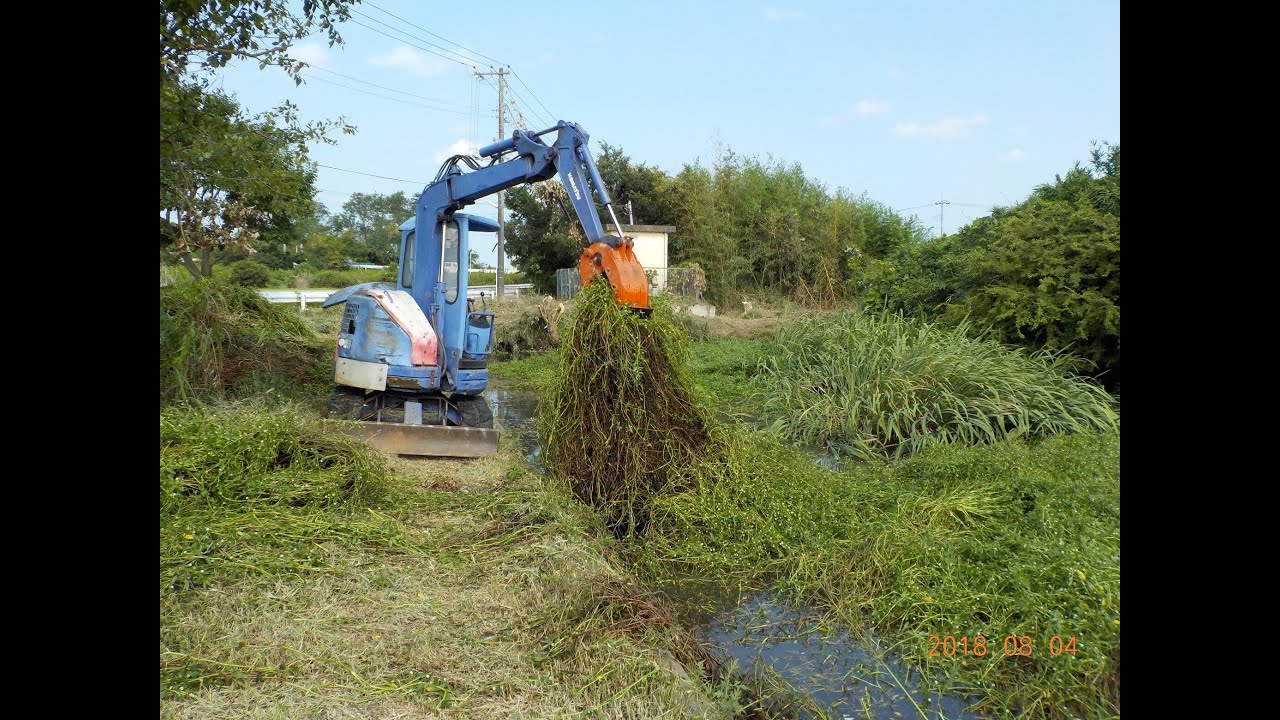 「地球上で最悪の侵略的植物」ナガエツルノゲイトウの駆除