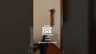Аренда офиса на Французском бульваре