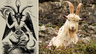 لماذا يعتبر الماعز رمزاً للشيطان؟ ??