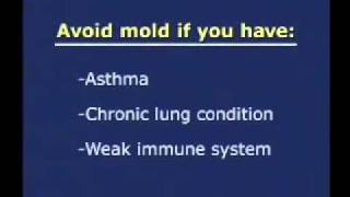 Mold DIY - CDC