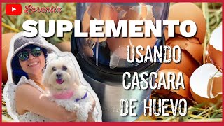 🥚Tu PERRO necesita CALCIO! Suplemento casero con Cascaras de Huevo, HAZLO en casa I LORENTIX by Lorentix Channel 547 views 4 days ago 4 minutes, 11 seconds